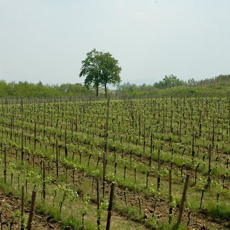 Villa Dragoni Buttrio Esterno foto